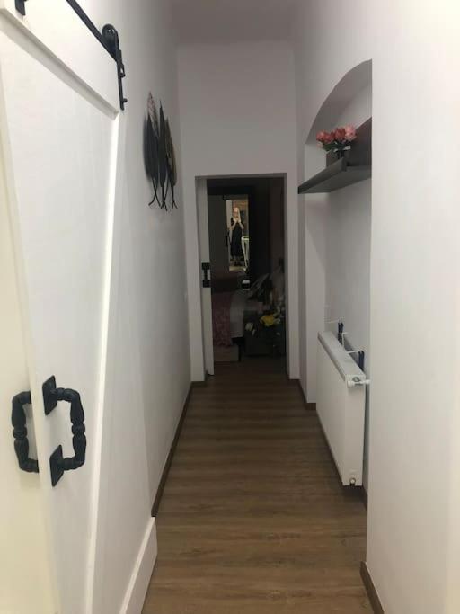 Dumbrava Rosie - Ultracentral Historical Residence Букурещ Екстериор снимка